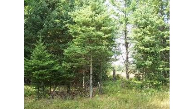 On Commerce Loop 12 & 15 Eagle River, WI 54521 by Coldwell Banker Mulleady-Er $39,900