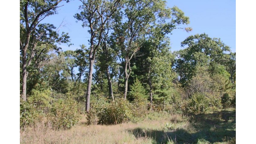 LT4 Gillette Ln Dell Prairie, WI 53965-8809 by Moving Forward Realty $59,900