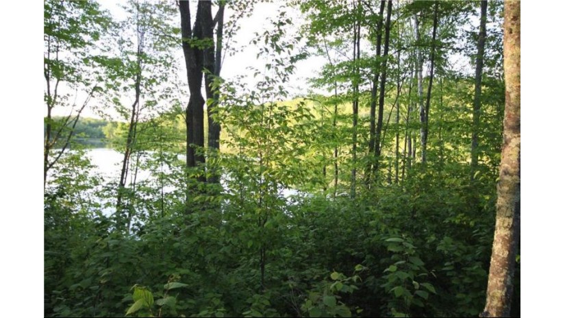 Lot 6 Timber Wolf Drive Springbrook, WI 54875 by Woodland Developments & Realty $46,900