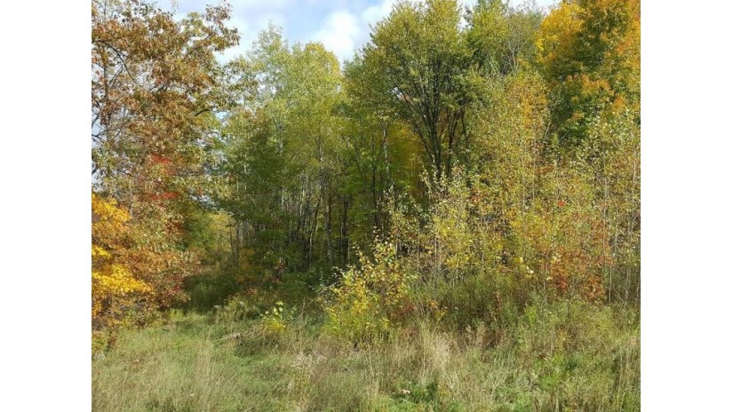 Off Hwy 53  8221 Trego, WI 54888 by Steigerwaldt Land Sales, Llc $416,500