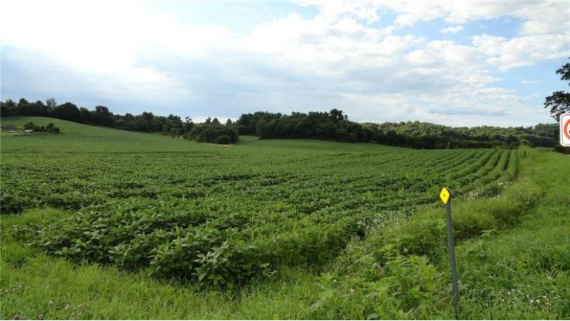 35.9 Ac 550th Avenue Menomonie, WI 54751 by Cb Brenizer/Menomonie $227,500