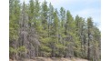 NEAR Misty Bog Road Minong, WI 54859 by Steigerwaldt Land Sales, Llc $138,000