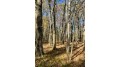 79 acres 270th St Clear Lake, WI 54002 by Benson Thompson Inc $249,900