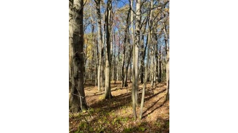 79 acres 270th St Clear Lake, WI 54002 by Benson Thompson Inc $249,900