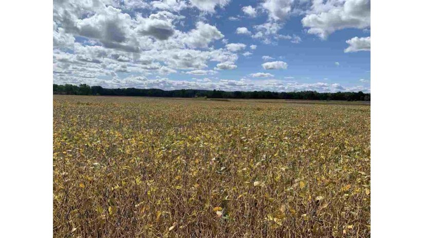 100 AC County Road Pf Honey Creek, WI 53583 by Gavin Brothers Auctioneers Llc $500,000