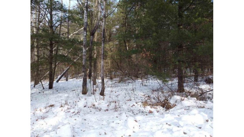 LOT 19 Fur Ct Springville, WI 53965 by First Weber Inc $7,900