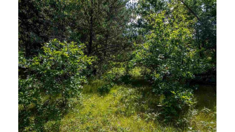 57 ACRES 12th Ave Necedah, WI 54646 by Castle Rock Realty Llc $86,000