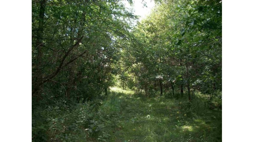 40.11 AC County Road G Necedah, WI 54646 by Century 21 Affiliated $119,900