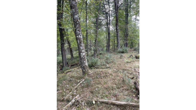 10.279 Acres Townline Road Lot 9 Of Wccsm 10969 Wisconsin Rapids, WI 54494 by Re/Max Connect $102,000