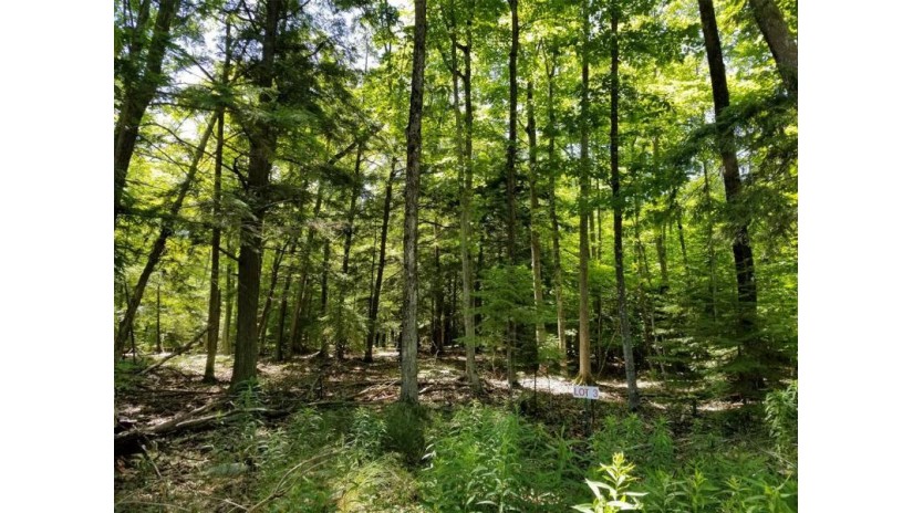 LOT 3 Northport Woods Ln Ellison Bay, WI 54210 by Professional Realty Of Door County $25,000
