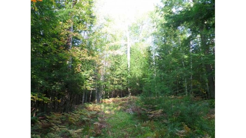 On Bo Di Lac Dr Minocqua, WI 54548 by Lakeplace.com - Vacationland Properties $29,900