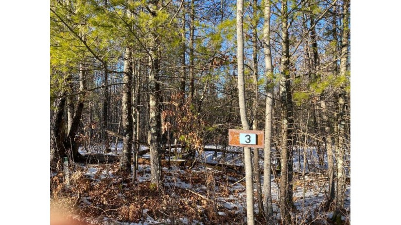 Lot 3 Packers Rd Lake Tomahawk, WI 54539 by Northwoods Community Realty, Llc $75,000