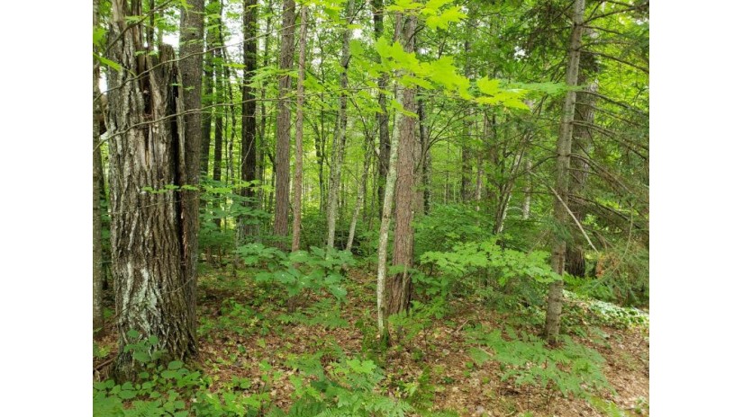 Blk 5 Chequamegon Dr Lot 11 Minocqua, WI 54548 by Redman Realty Group, Llc $8,000