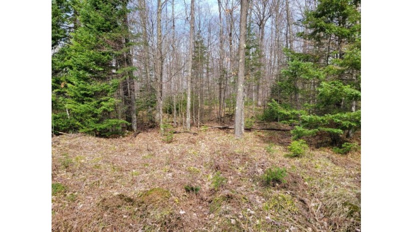 On Ripco Rd Lot #1 Sugar Camp, WI 54501 by Coldwell Banker Mulleady-Er $40,000