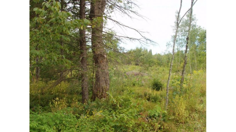 17358 Right Of Way Rd 80 Acres Shanagolden, WI 54527 by Birchland Realty, Inc - Park Falls $89,900
