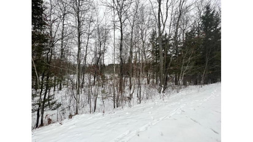 30.5 Off Horsehead Lake Rd Cassian, WI 54529 by First Weber - Minocqua $75,000