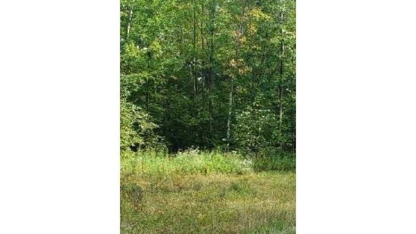 0 Hwy 27 Holcombe, WI 54745 by Woods & Water Realty Inc/Regional Office $100,000