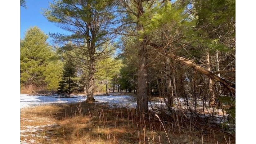 Lot 2 Riverside Road Cable, WI 54821 by Mckinney Realty Llc $19,900