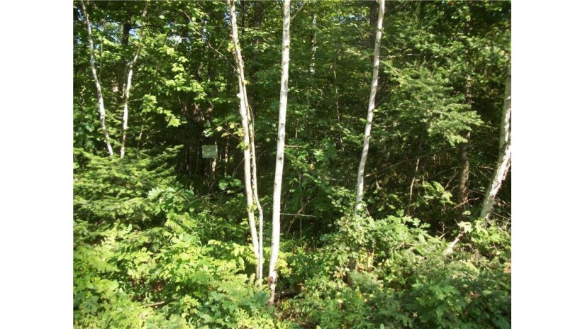 LOT 8 Falkirk Birchwood, WI 54817 by Dane Arthur Real Estate Agency/Birchwood $13,500