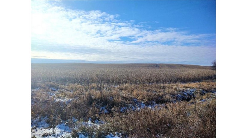 Lot 1  115 acres County R Road Osseo, WI 54758 by Nic/Independence $506,000