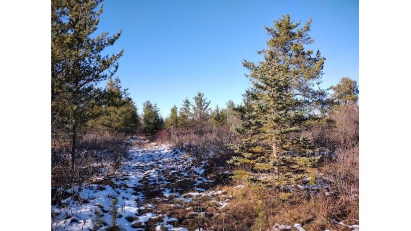 00 Muskeg Road Iron River, WI 54847 by Area North Realty Inc $77,500