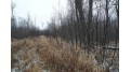 0000 Blueberry Road Ladysmith, WI 54848 by Whitetail Properties Real Estate $72,000