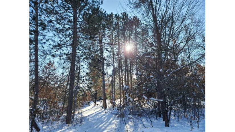 Lot 9 West Bass Lake Road Danbury, WI 54830 by Lakeside Realty Group $13,900