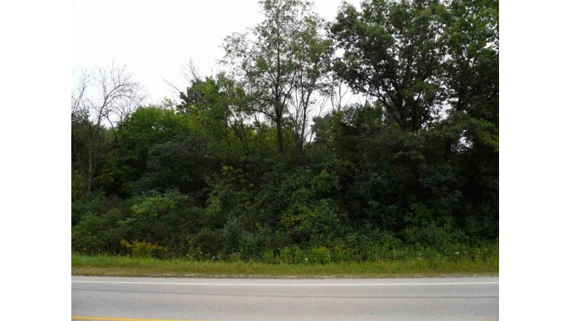 7.05 ACRES Hwy 18 Oakland, WI 53523 by Badger Realty Team $250,000