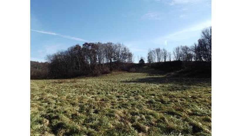 48+/-  ACRES Farmers Ridge Rd Highland, WI 53543 by Re/Max Preferred $263,000