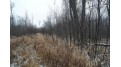 0000 Blueberry Rd Ladysmith, WI 54848 by Whitetail Properties Real Esta $72,000