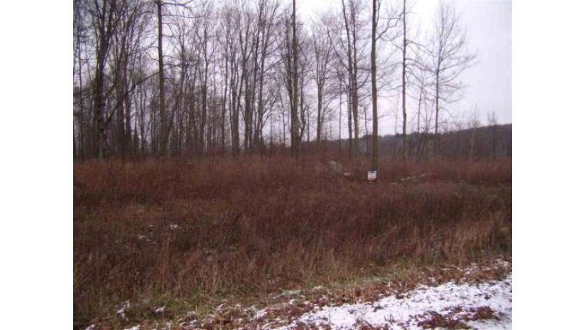 Thorn Apple Drive Wittenberg, WI 54499 by Smart Move Realty $14,900