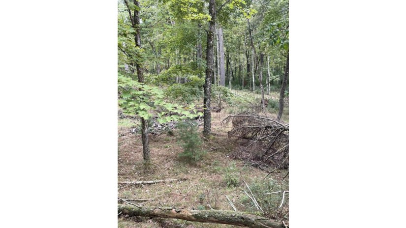 14.499 Acres Townline Road Lot 1 Of Wccsm 10968 Wisconsin Rapids, WI 54494 by Re/Max Connect $145,000
