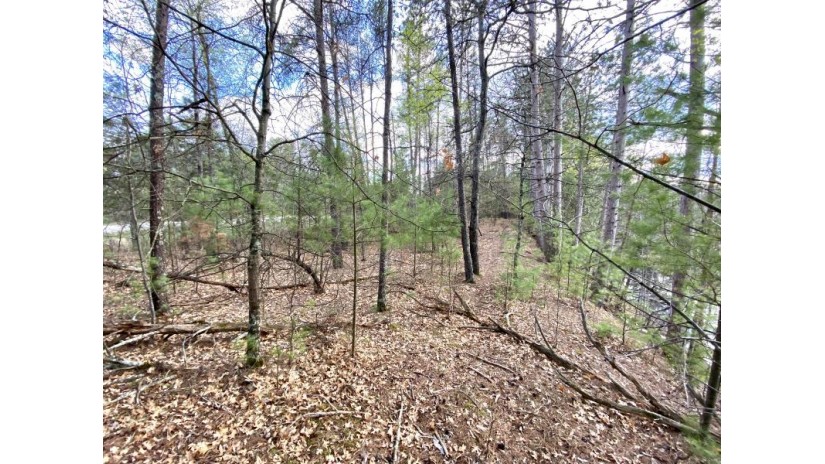 2.97 AC Menominee Woods Dr Wagner, WI 54177 by Bigwoods Realty Inc $21,900