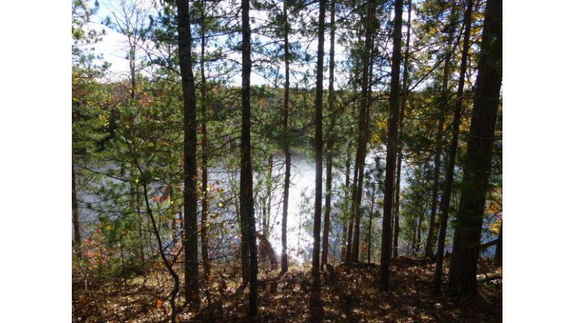 LT 8 AND 9 Old Camp Rd Stephenson, WI 54114 by Bigwoods Realty Inc $90,000