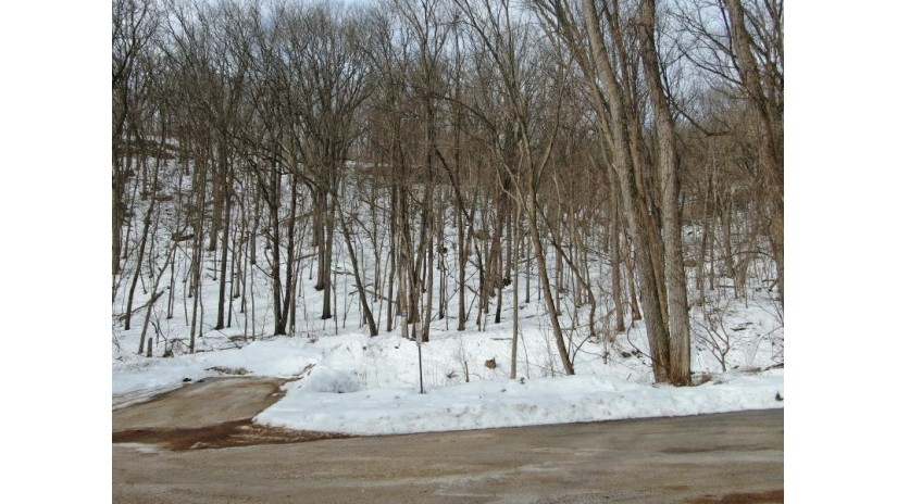 LOT 1 Adamany Dr Prairie Du Chien, WI 53821 by NextHome Prime Real Estate $65,000