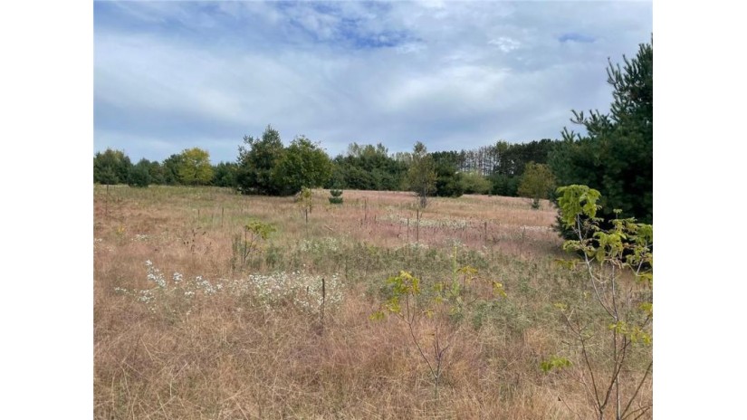 Lot 3 County Road D Colfax, WI 54730 by Rassbach Realty Llc $84,900