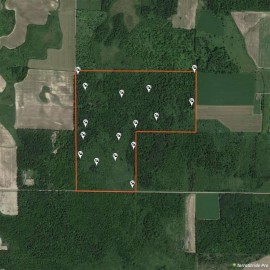 Blueberry Drive, Withee, WI 54498