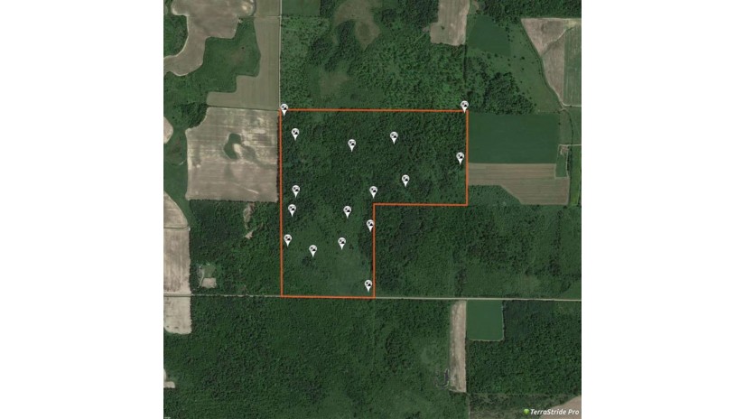 Blueberry Drive Withee, WI 54498 by Whitetail Dreams Real Estate, LLC $259,000