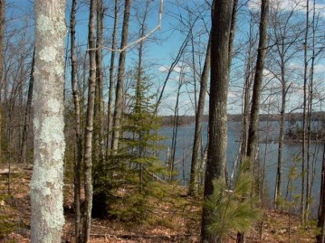 174 AC E Clear Lake Rd, Lac Du Flambeau, WI 54538