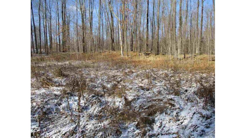 Parcel 15 Forest Edge Road Westboro, WI 54490 by Dixon Greiner Realty, Llc $28,900