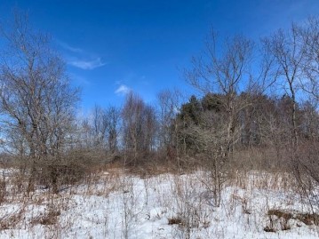 Lot 5 Washington Street, Hatley, WI 54440