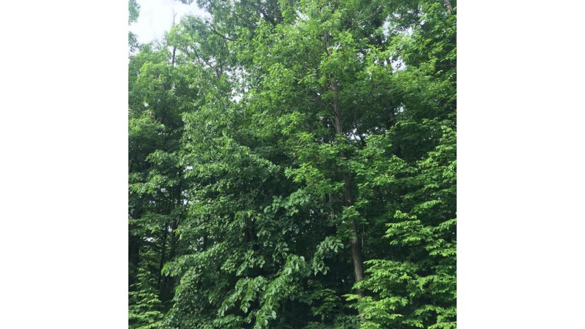 LOT 1 Meadow View Ct Egg Harbor, WI 54209 by Cb  Real Estate Group Egg Harbor $29,900