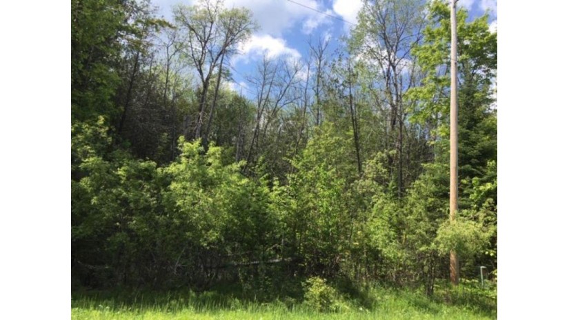 On Cove Ridge Dr Lot 1 Antigo, WI 54409 by Wolf River Realty $16,900