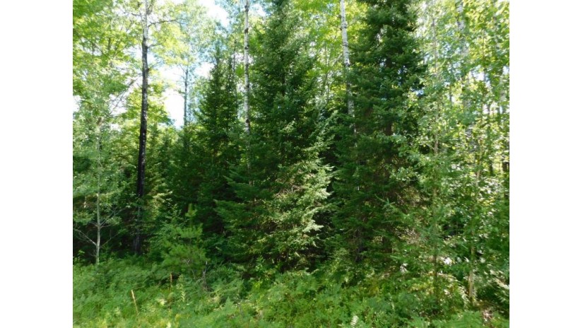 Lot 2 Sanctuary Rd Tomahawk, WI 54487 by Century 21 Best Way Realty $22,000