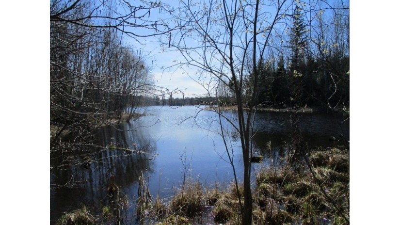 On Woodduck Dr Lot 23 Fifield, WI 54524 by Birchland Realty, Inc. - Phillips $29,900