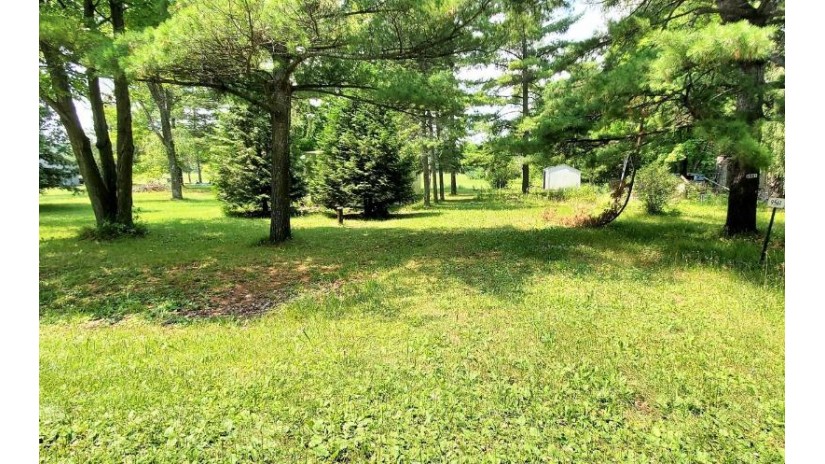 9559 Holt Park Rd Spruce, WI 54174 by Realty One Group Haven $65,000