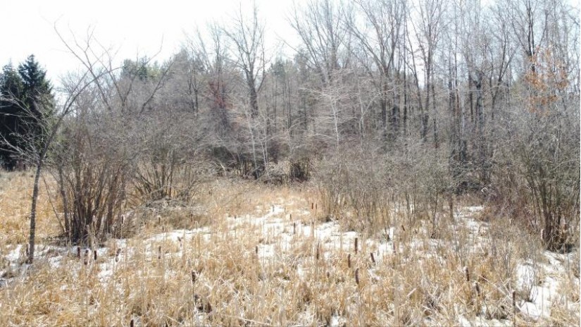 LT1 Highway Q Marshfield, WI 53049 by Boss Realty, LLC $90,000