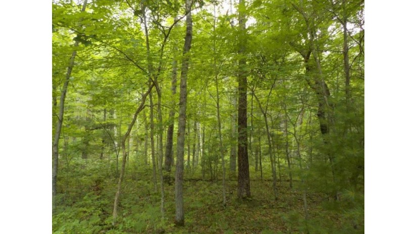 Lot 16 Jamesway Road Siren, WI 54872 by Parkside Realty $10,000