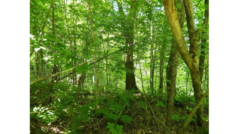 0 Scout Trail Ojibwa, WI 54862 by Area North Realty Inc $69,900