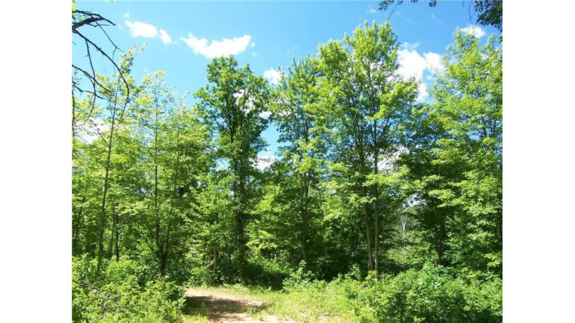 Lot 5 Ashtons Way Webster, WI 54893 by Lakeside Realty Group $73,000